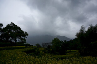 乌云下的田园风光