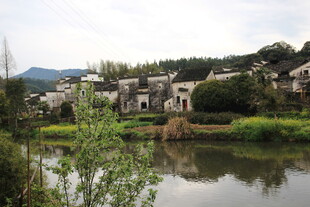 江南水乡村落湖畔美景