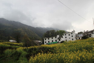 山村春日田园风光美景