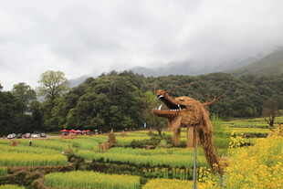 田野间的稻草人