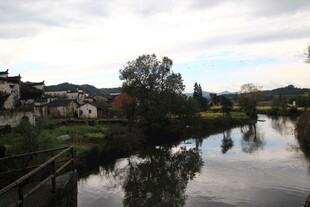 宁静水乡河畔村落美景