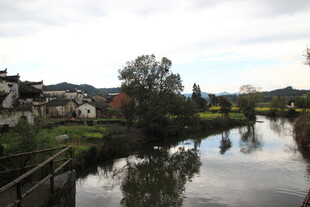 江南水乡河畔村落美景
