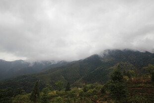 云雾缭绕的山间景致