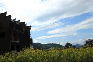 田野旁的古朴建筑