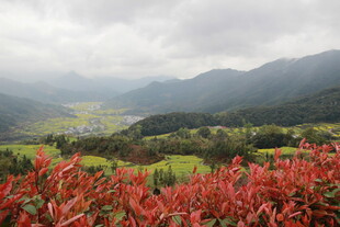山间红植与远阔田园风光