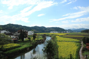 乡村田园风光 小河油菜花