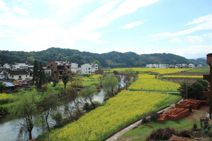 春日乡村田园风光美景