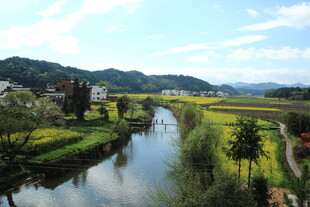 乡村河畔田园风光美景