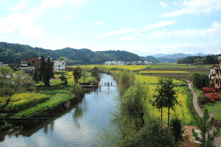 乡村河畔美景如画