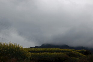 乌云下的田野与远山