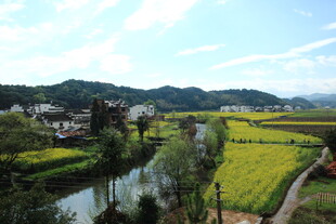 春日乡村田园风光美景