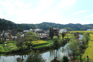 乡村河畔美景如画