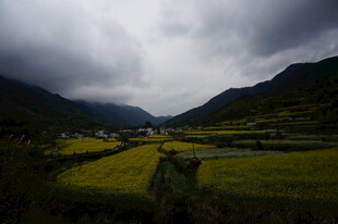 山间田野 阴云下的田园风光