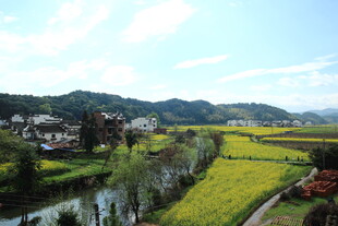 春日乡村田园美丽风光