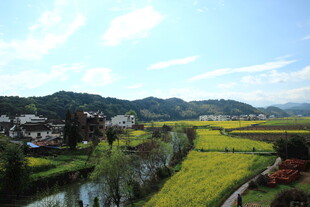 春日乡村田园美丽景致