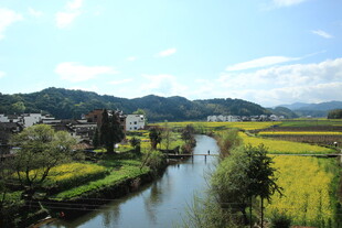乡村河畔的明艳田园风光