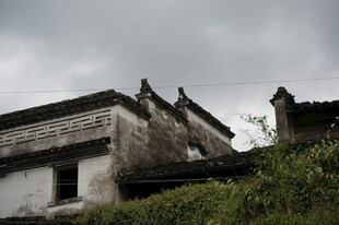 古朴徽派建筑隐于草木间