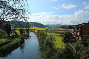 乡村河畔田园风光美景