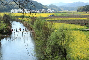 乡村河畔田园风光美景