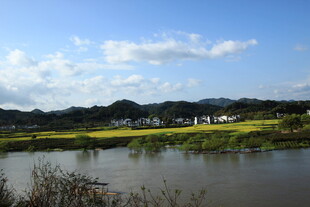乡村河畔田园风光美景