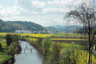 春日田园河流风光美景