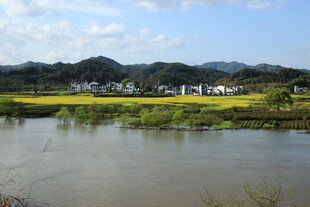 河畔田园风光美景