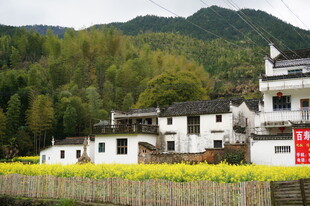 徽派村落田园风光美景