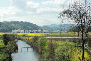 春日乡村河畔田园风光