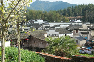 山村景致 古朴村落风光