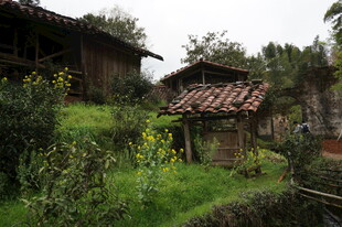 山间村落小屋 绿意环绕