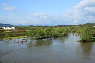 河畔风光 绿意盎然的景致
