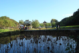 湖畔风光 静谧自然景致