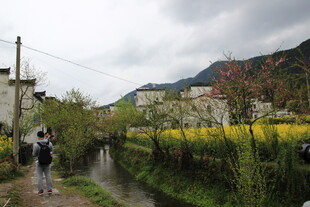 乡村小径旁的美丽田园风光