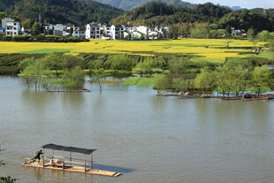 水乡田园风光中的小船