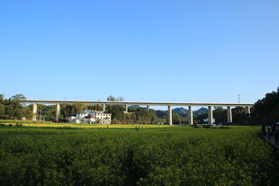 田野上的高架桥