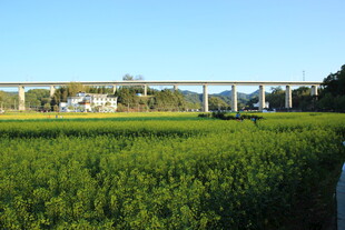 田野上的高架桥风景