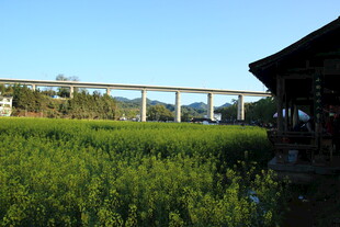 田野旁的桥梁与小屋