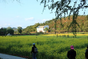 乡村田野中的漫步人群