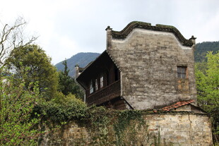 古朴中式老屋隐于绿意间