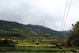 山间田园风光美景