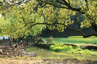 河畔绿荫下的惬意休闲时光