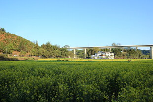 田野上的高架桥