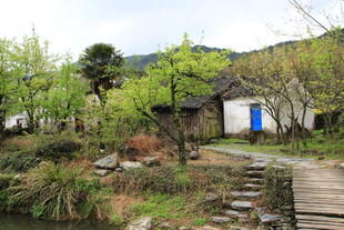 乡村小屋旁的自然景致
