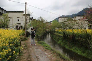 乡间小道漫步赏油菜花海