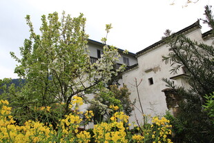 花丛中的古朴建筑