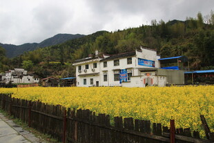 乡村田野间的美丽民居