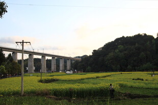 田野上的高架桥风景