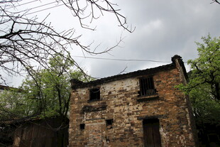 破旧老房隐于树林间