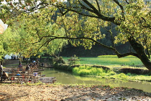 溪边垂柳下的惬意景致