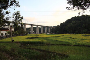 田野上的桥梁风景